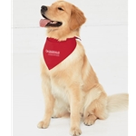 COE243<br>Doggie Bandana